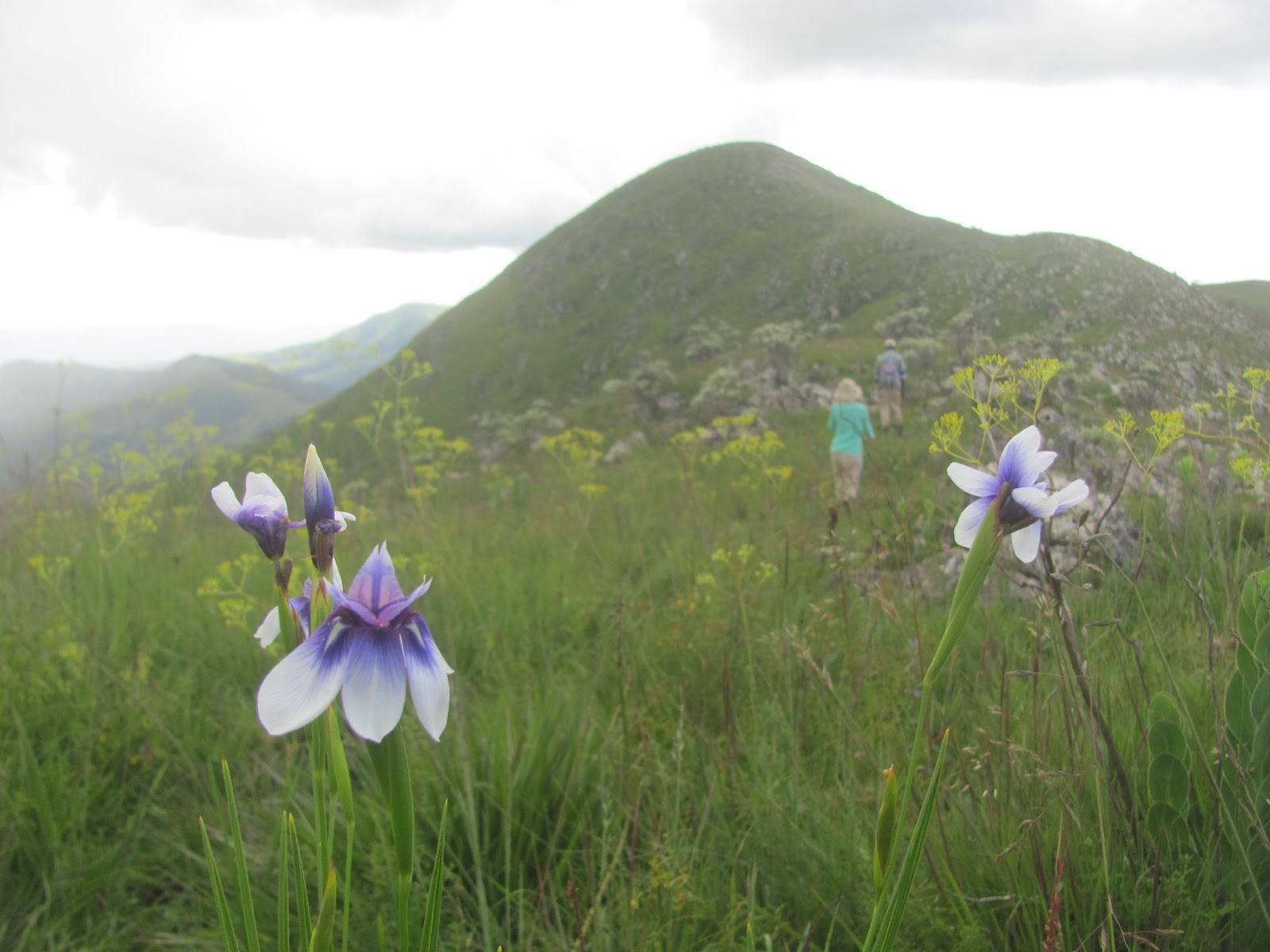 Cultural Experiences in Southern Highlands