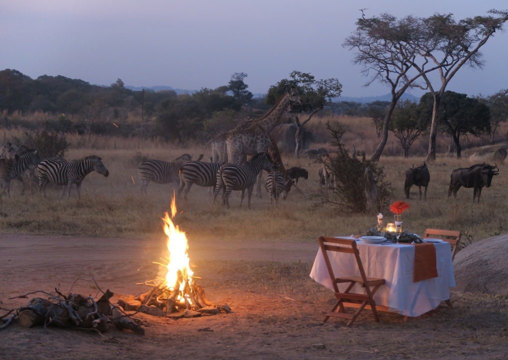 Bush Dinner Experience