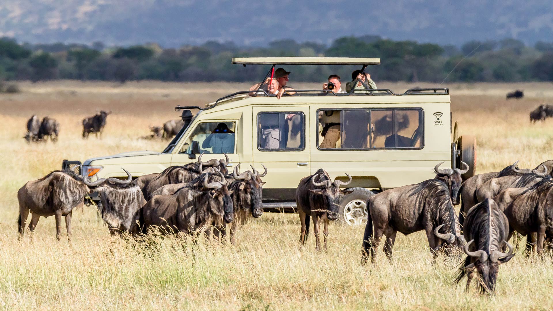 8 Days Mid-Range Serengeti Migration Safari