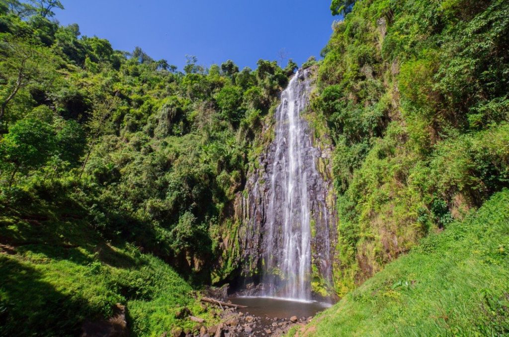 Mount Kilimanjaro Day Hike: Conquer the Roof of Africa