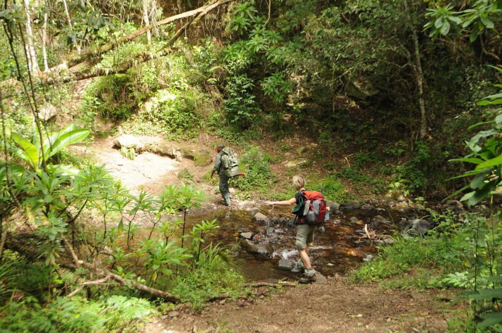 3 Days / 2 Nights Mount Meru Trekking