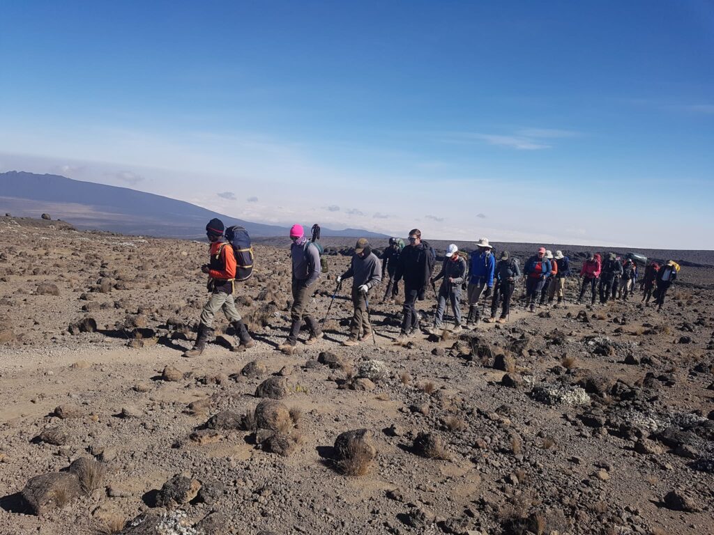 12 Days Kilimanjaro Combined Safari | Short Tanzania Safaris