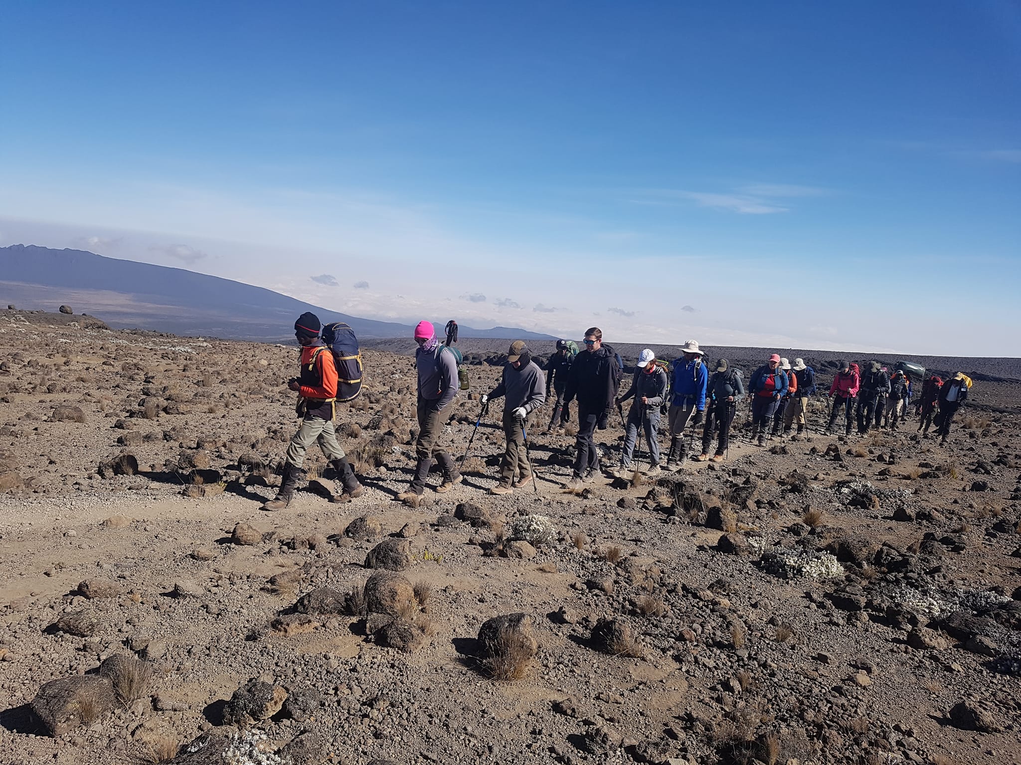 12 Days Kilimanjaro Combined Safari | Short Tanzania Safaris