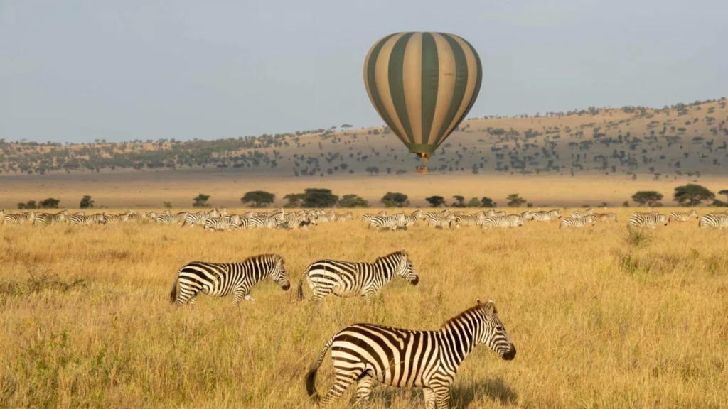 7 Days 6 Nights Tanzania Safari – Peak Season Luxury Safari Package and Itinerary