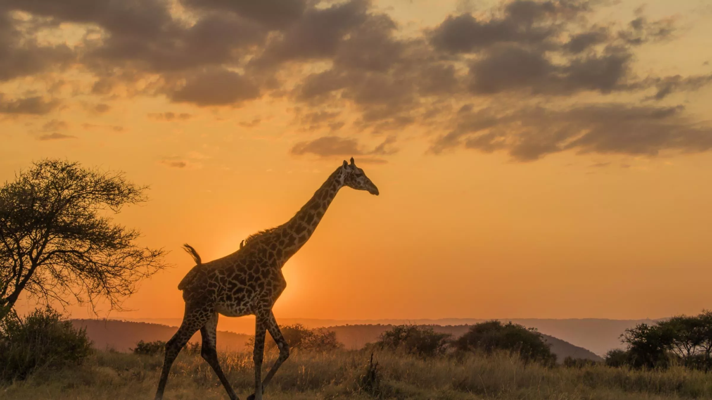 4-Day Serengeti & Ngorongoro Luxury Safari