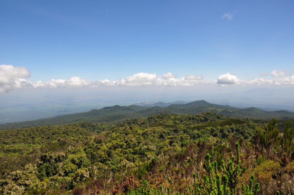 Day Trip to Mandara Hut Mount Kilimanjaro