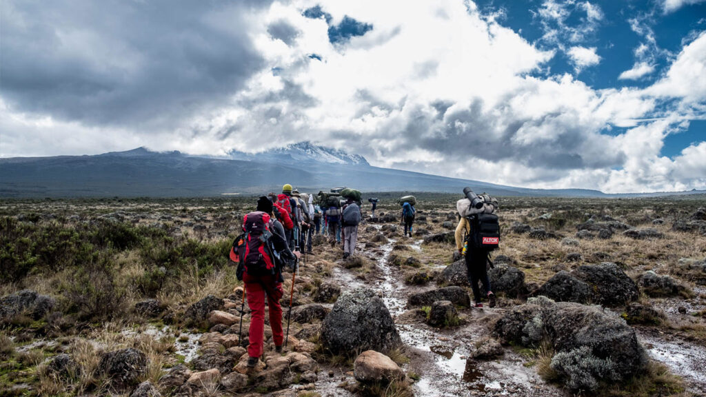 One Day Hike on Kilimanjaro to Shira Plateau