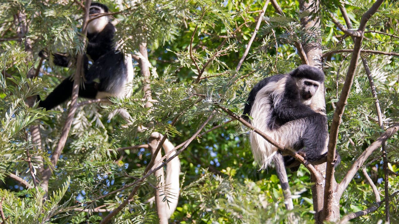 Arusha National Park