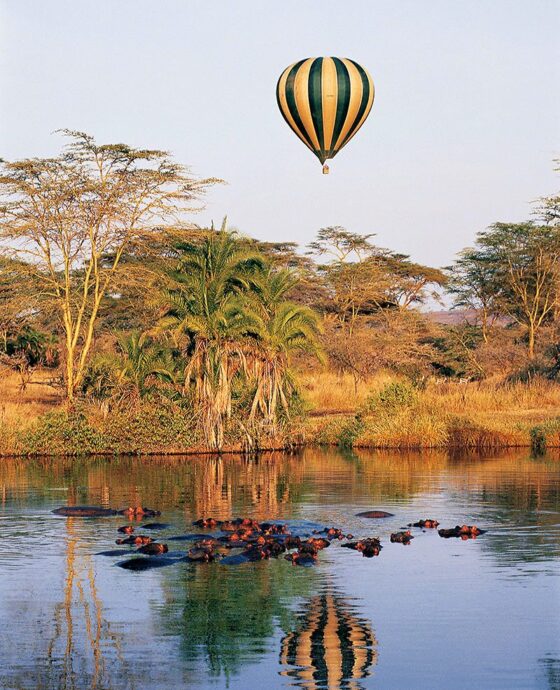 7 Day Serengeti Ngorongoro Safari