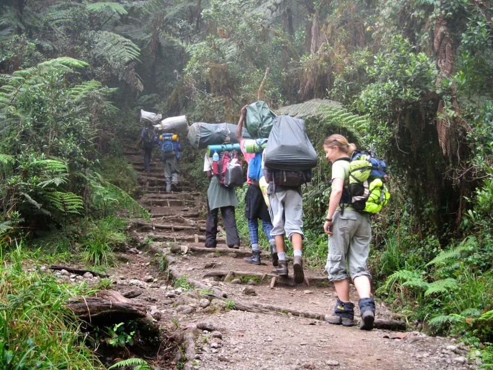 Umbwe Route Trek