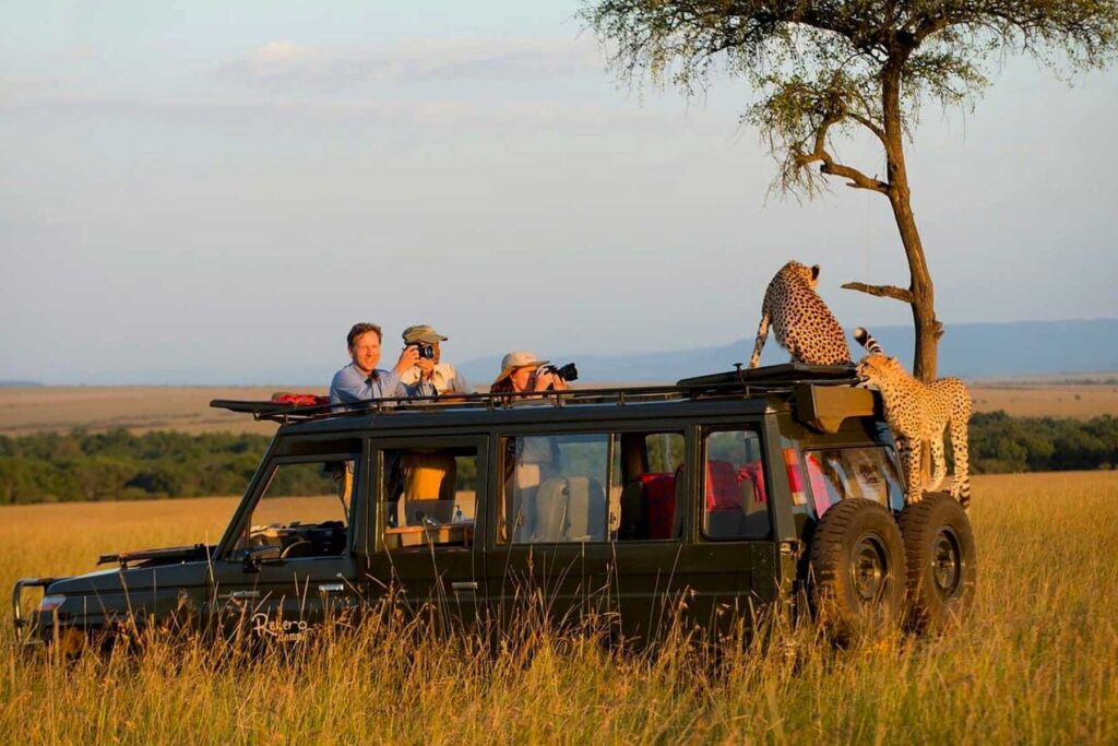 Discover Tanzania in 6 Days: Wildlife, Wilderness & Nighttime Magic