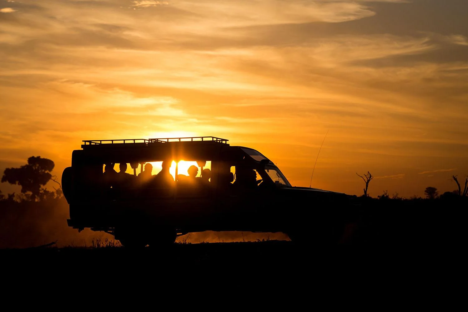 Night Game Drive Safari