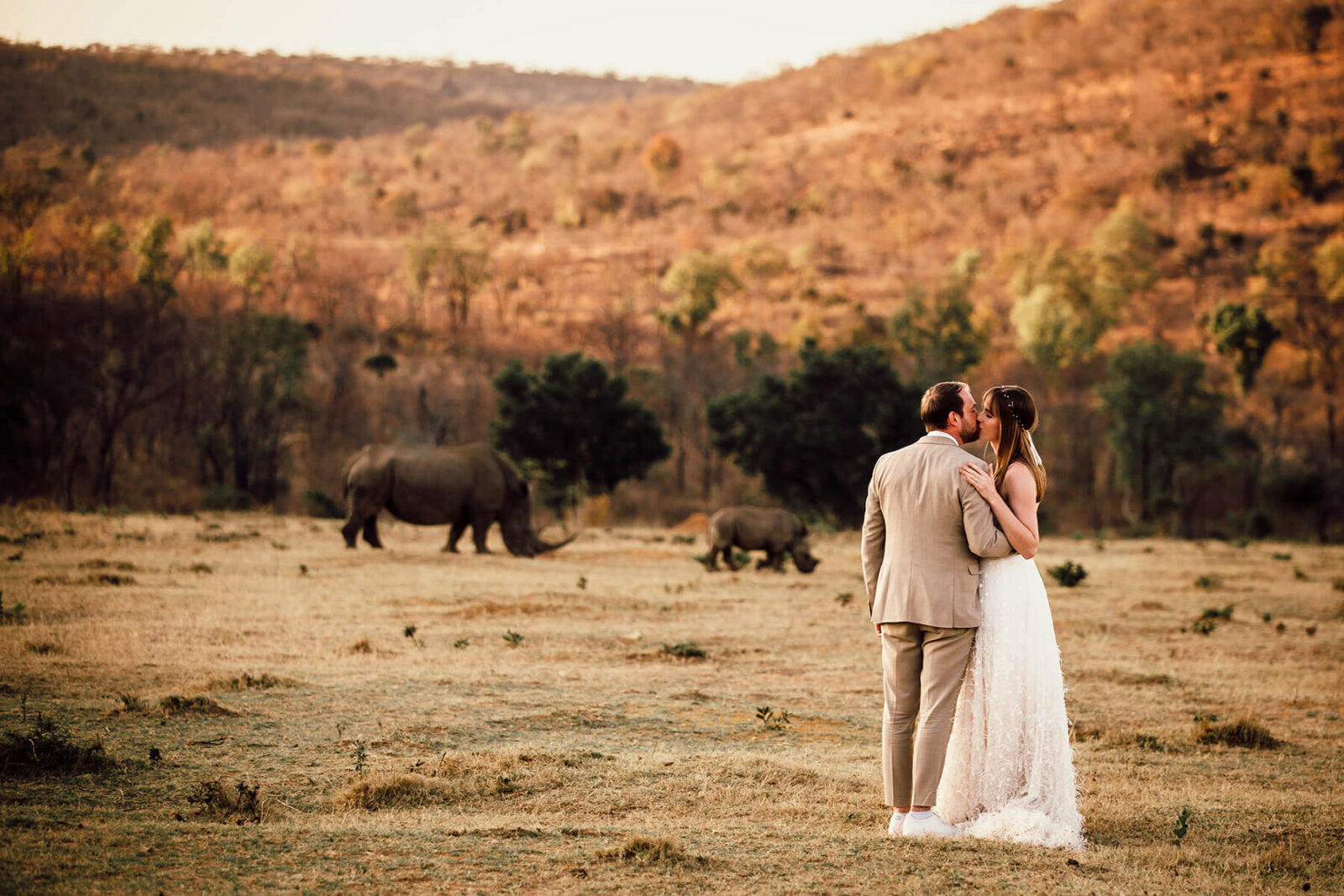 Wedding & Safari Experience