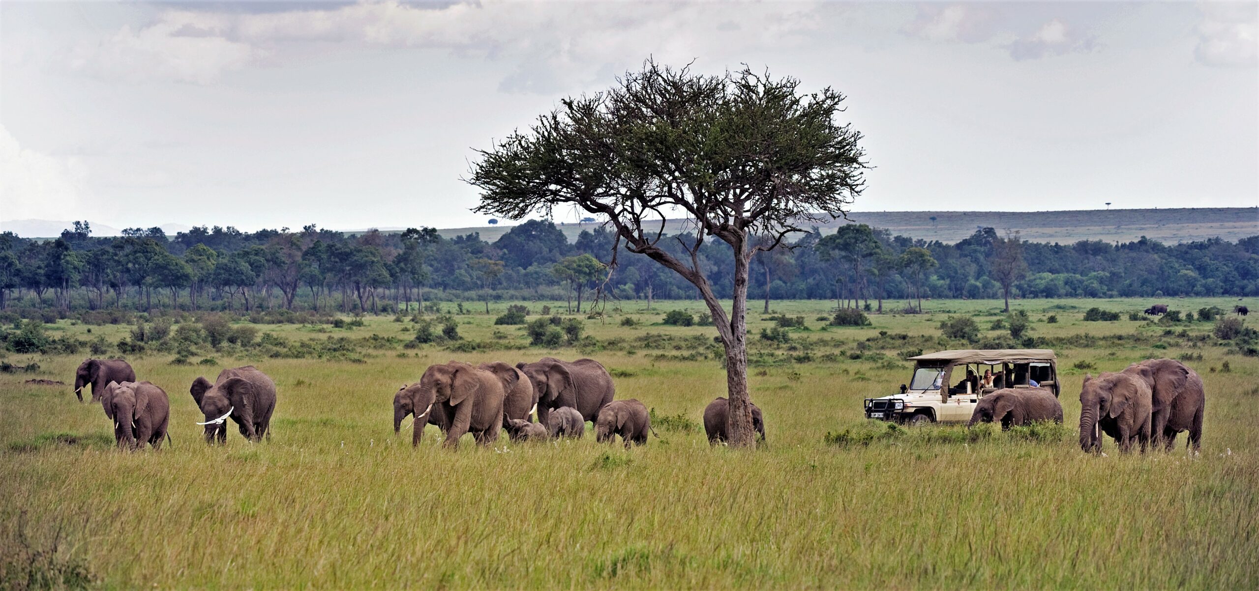 Africa Safari Tarangire