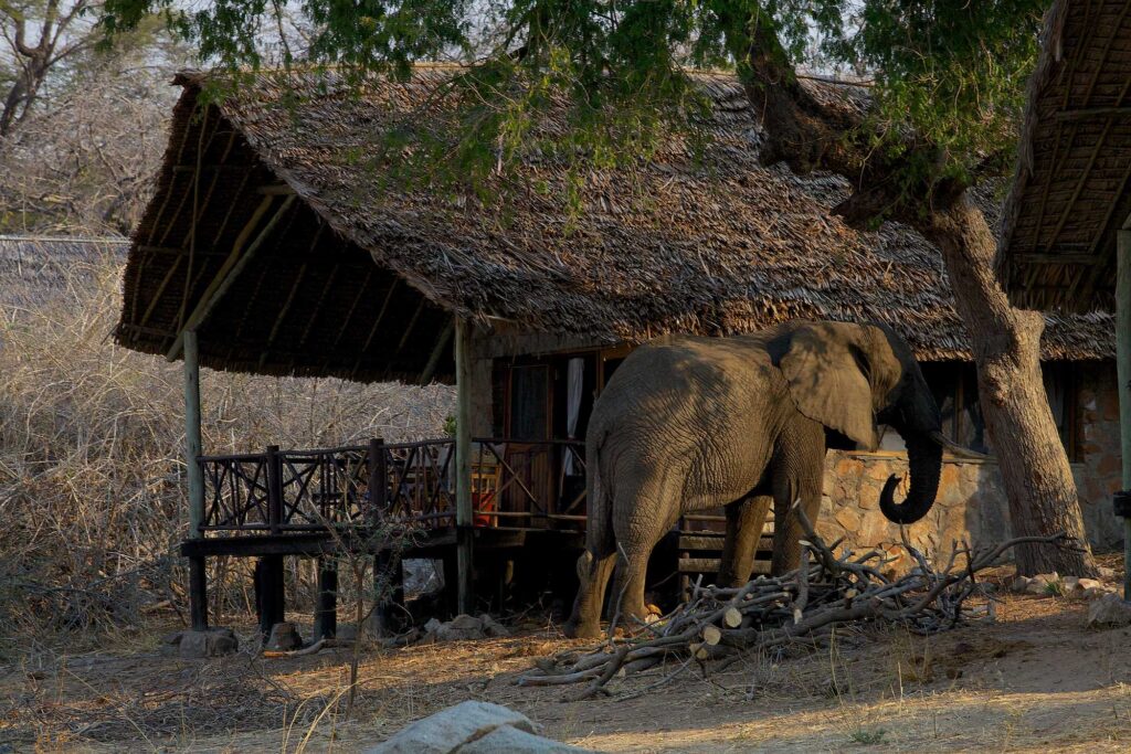 Ruaha River Lodge