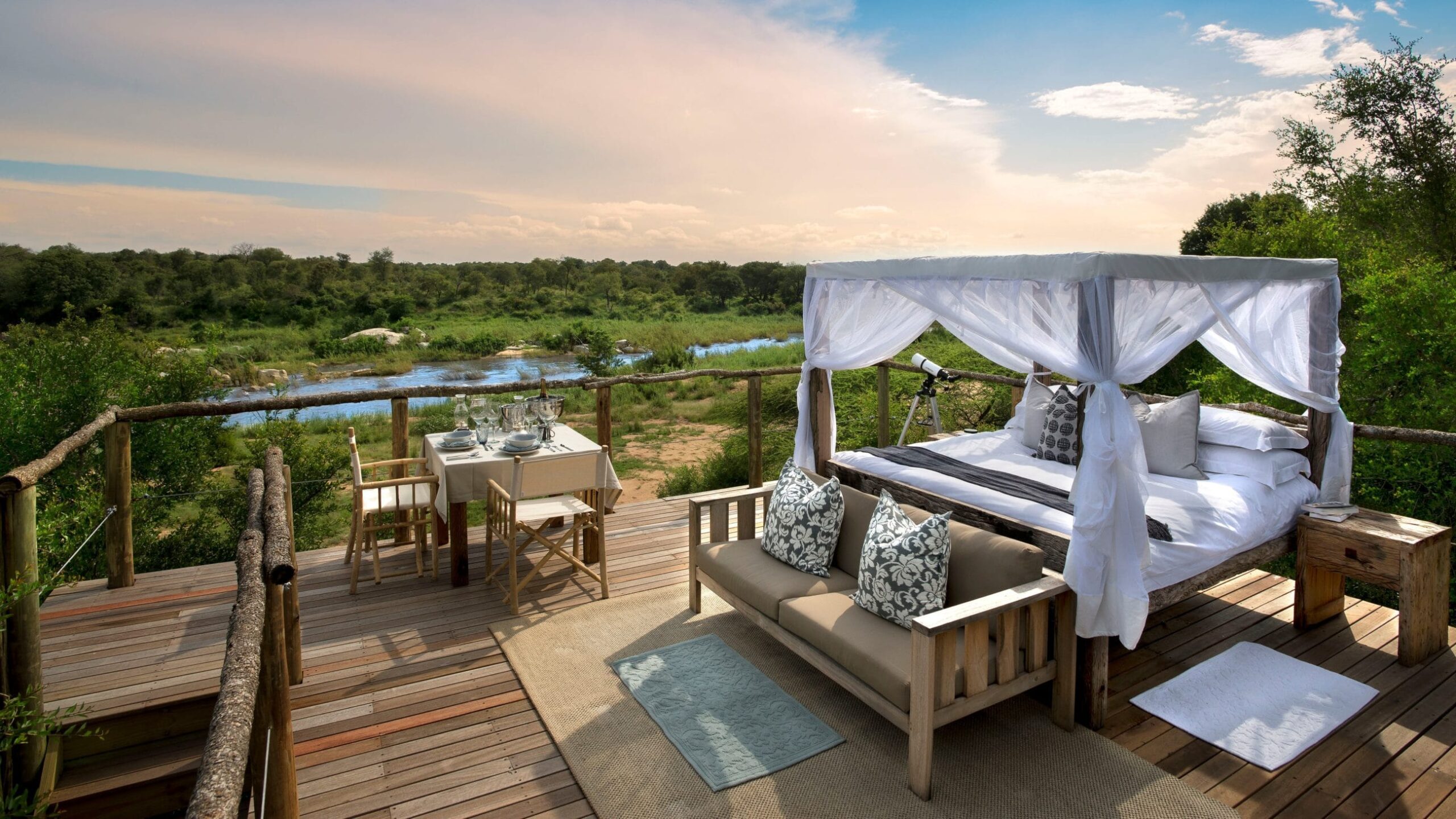 Wellness Safari