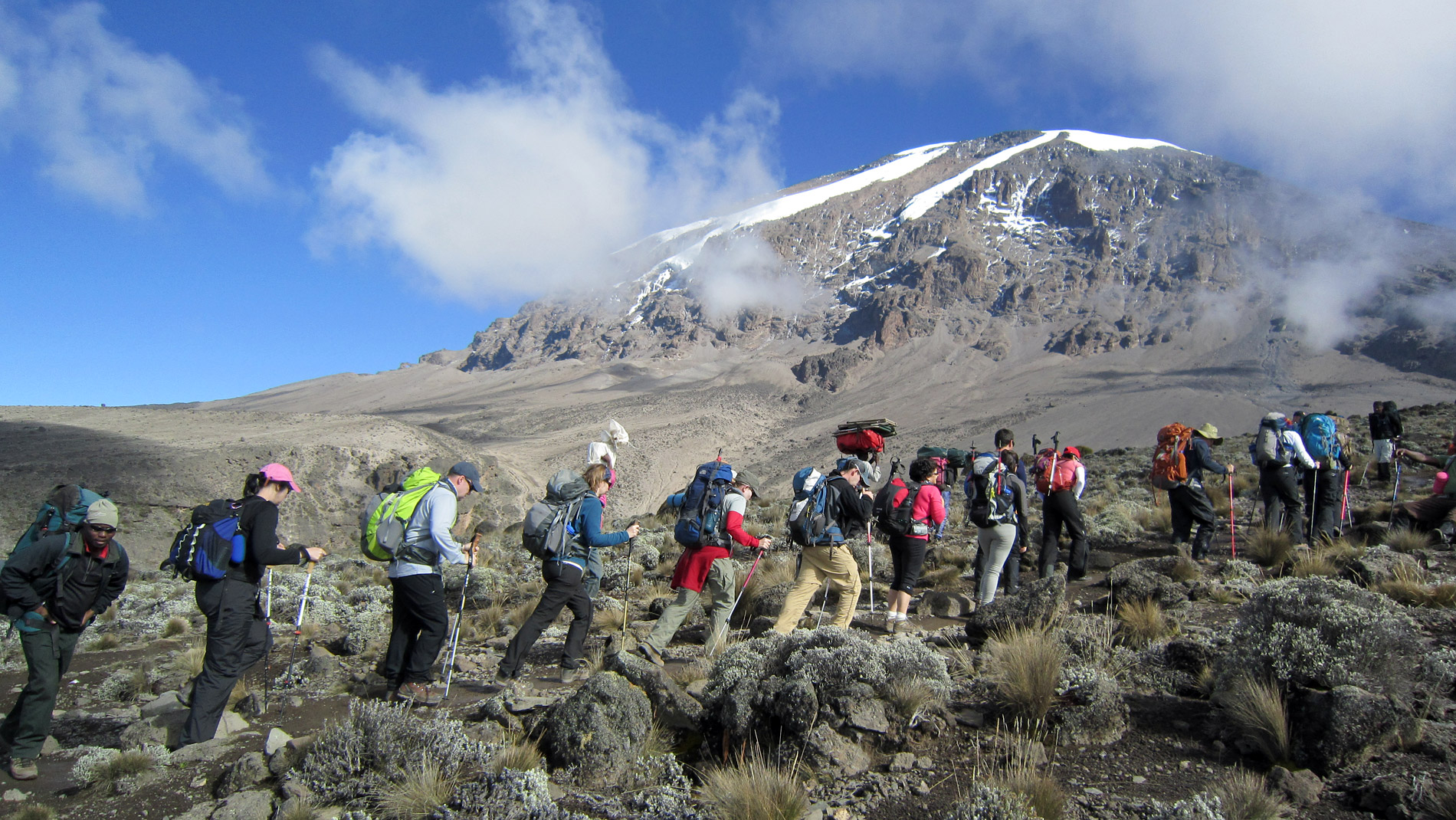 Active Travellers