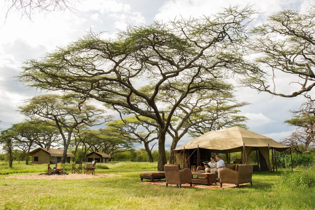 3-Day Ndutu Calving Safari