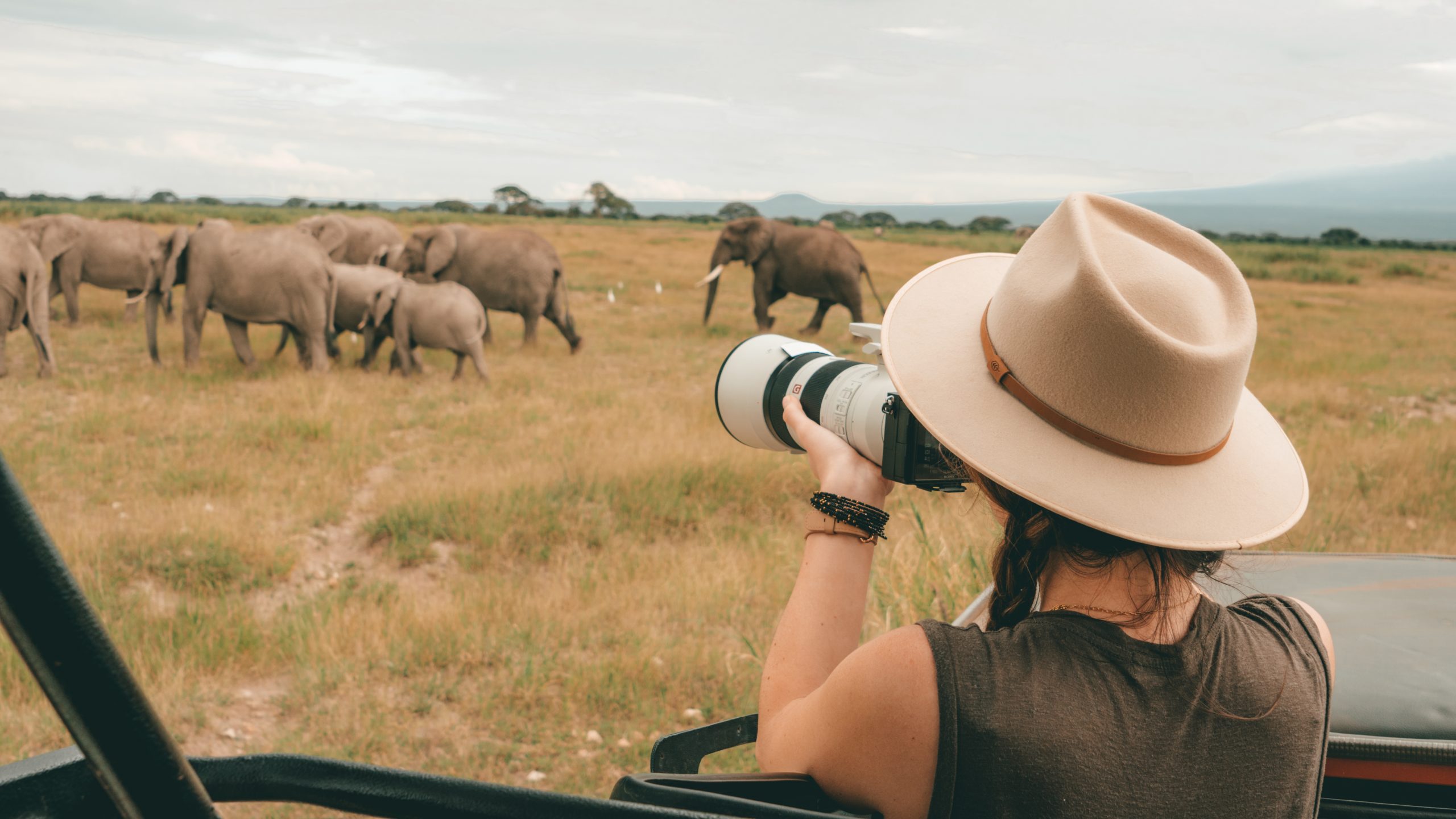 Walking Safari
