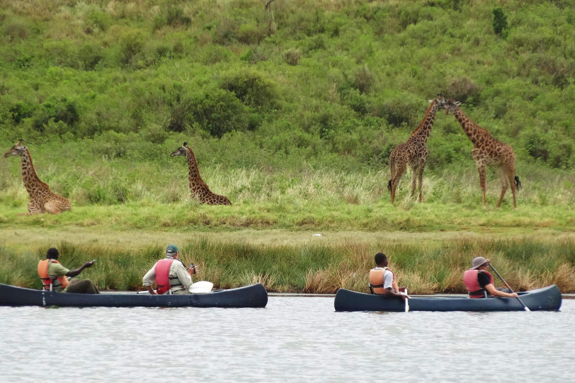 Canoeing Safari