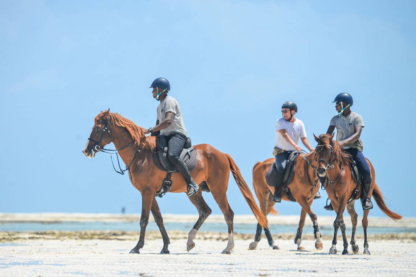 Horseback Safari