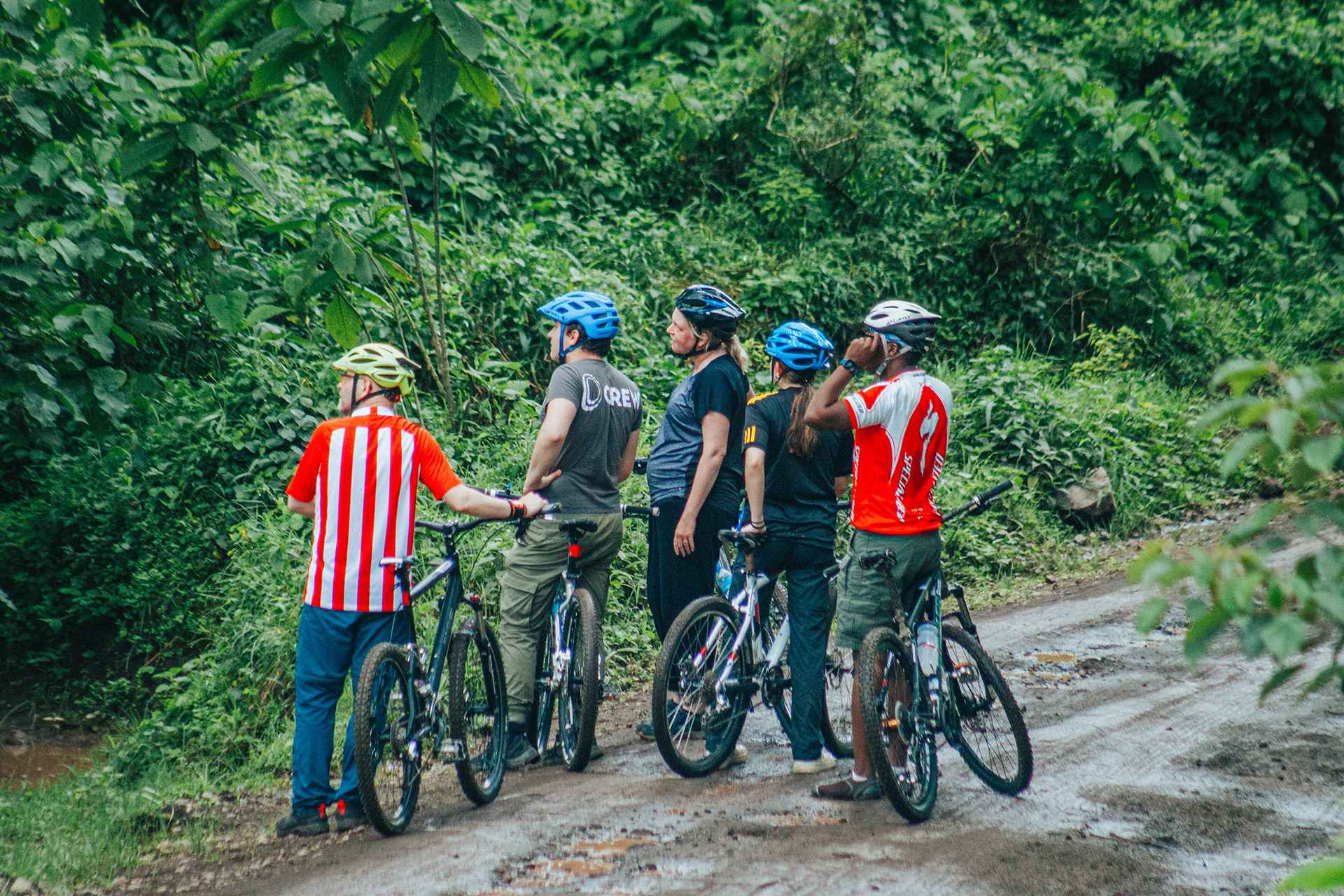 Experiences & Activities
