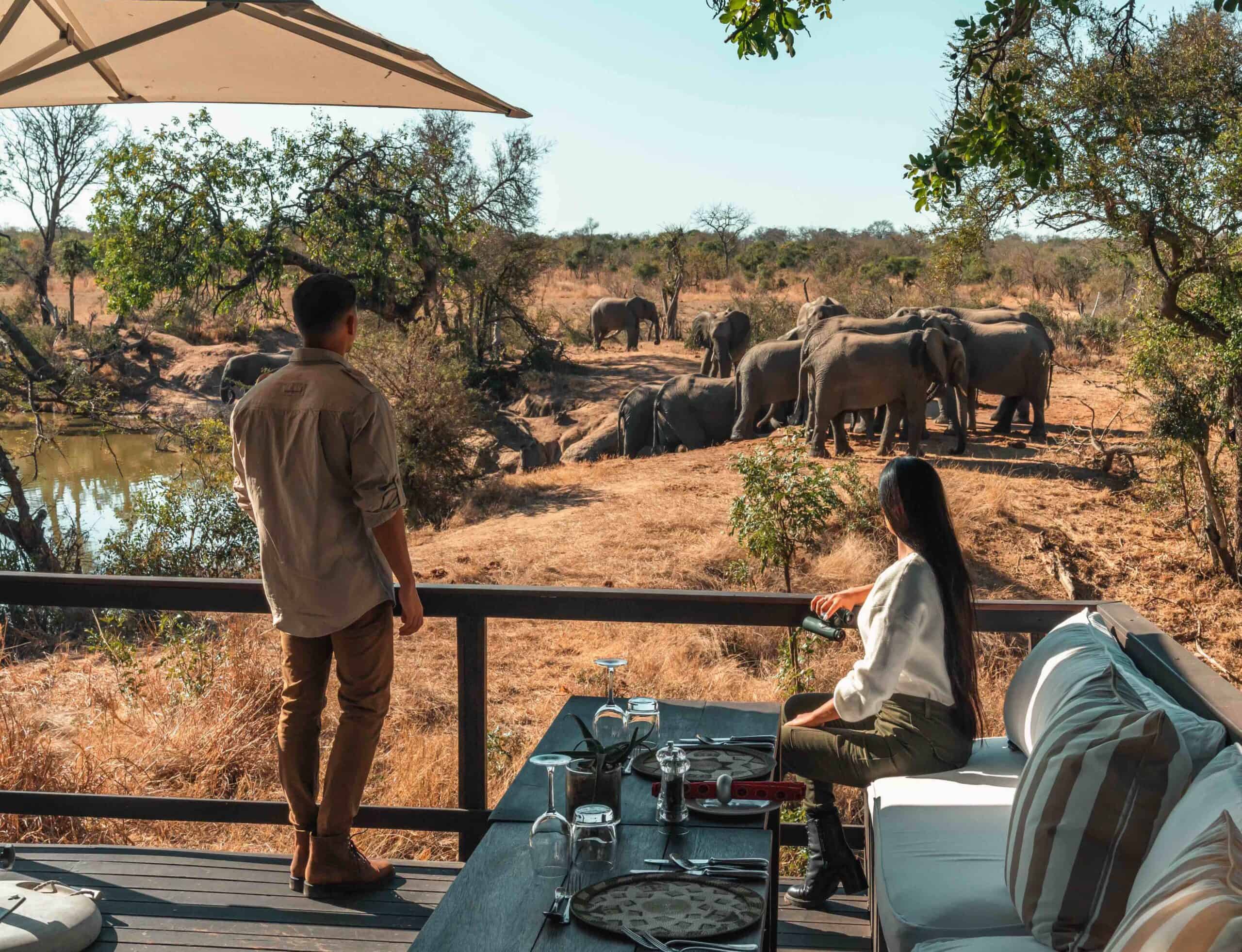 Proposal Safari Experience