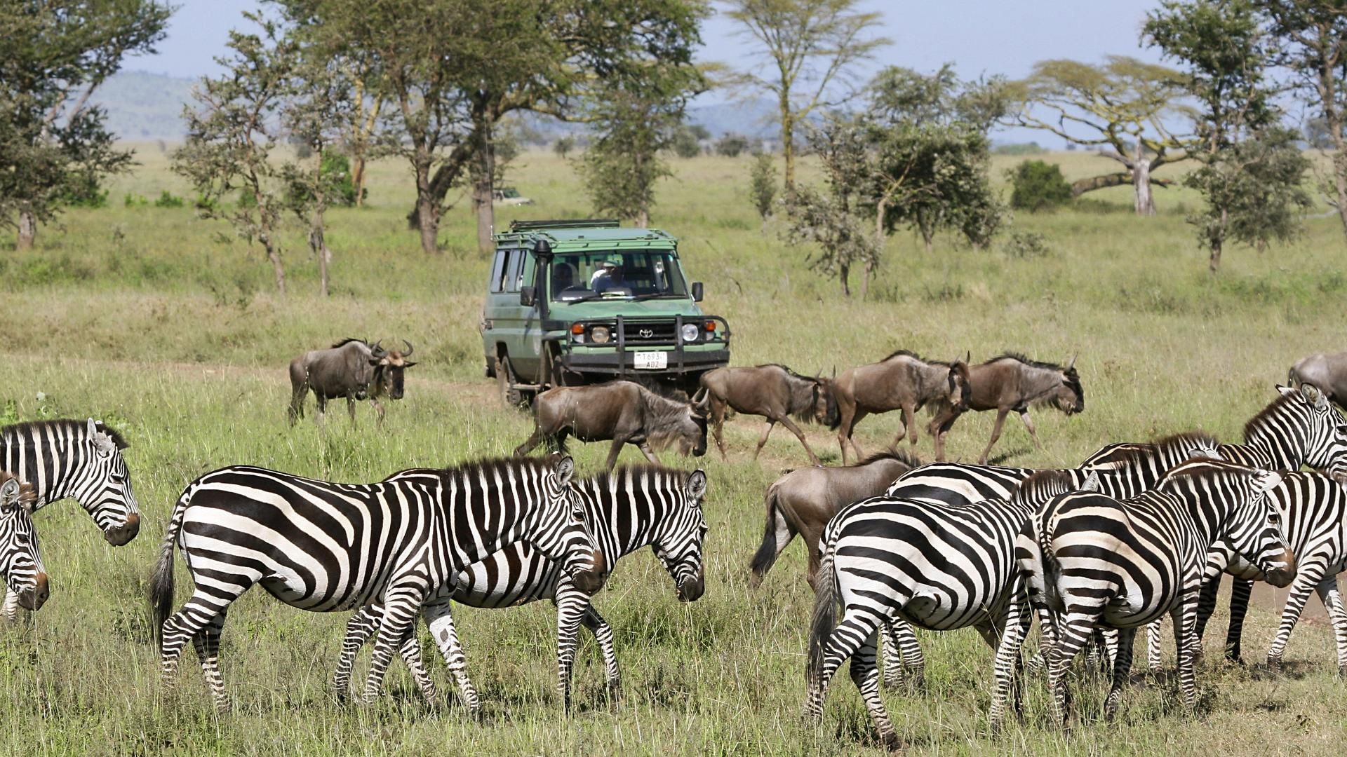 Ngorongoro Crater