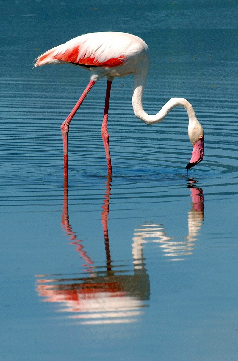 Lake Manyara National Park, Tanzania