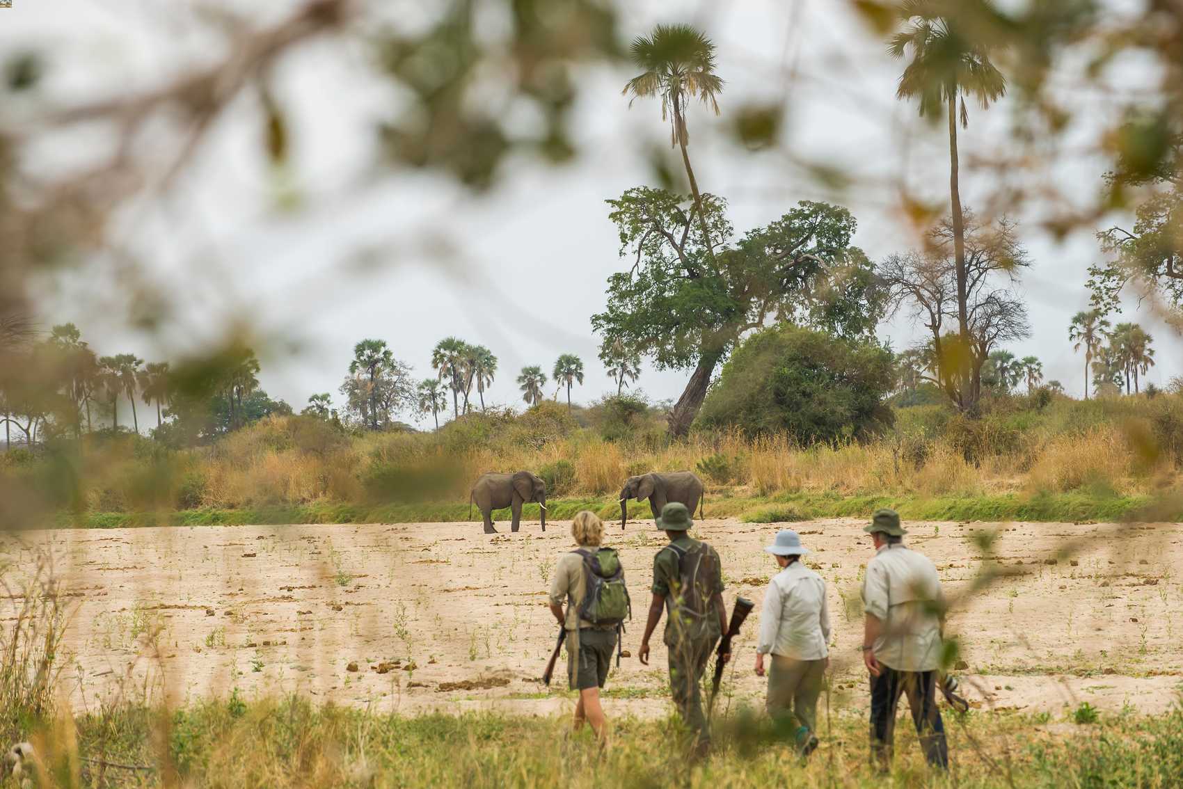 Ruaha National Park, Tanzania
