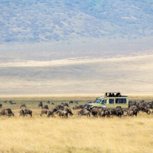 Ngorongoro Crater