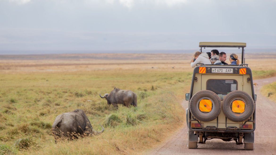 Ngorongoro & Zanzibar
