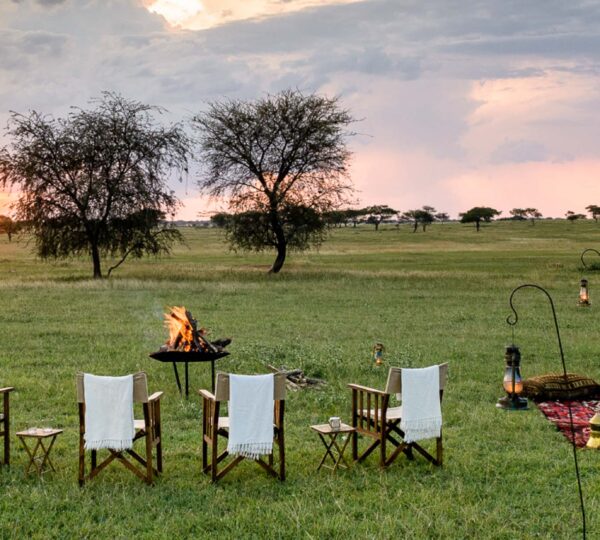 Design Your Perfect Tanzania Safari