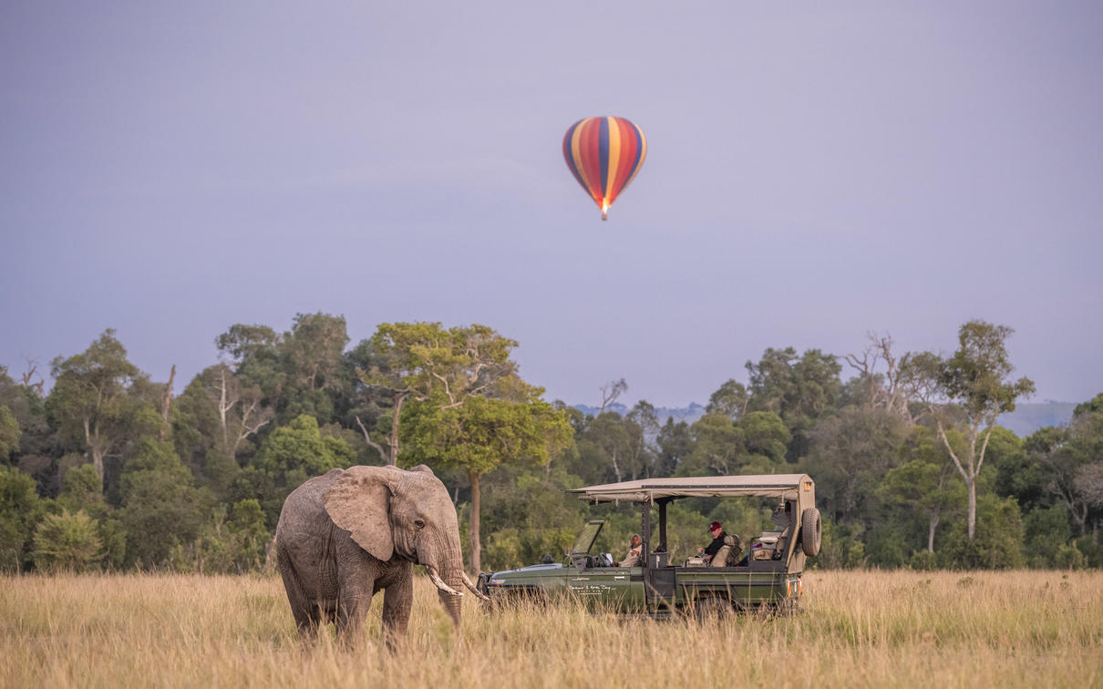 Self-Drive Safari