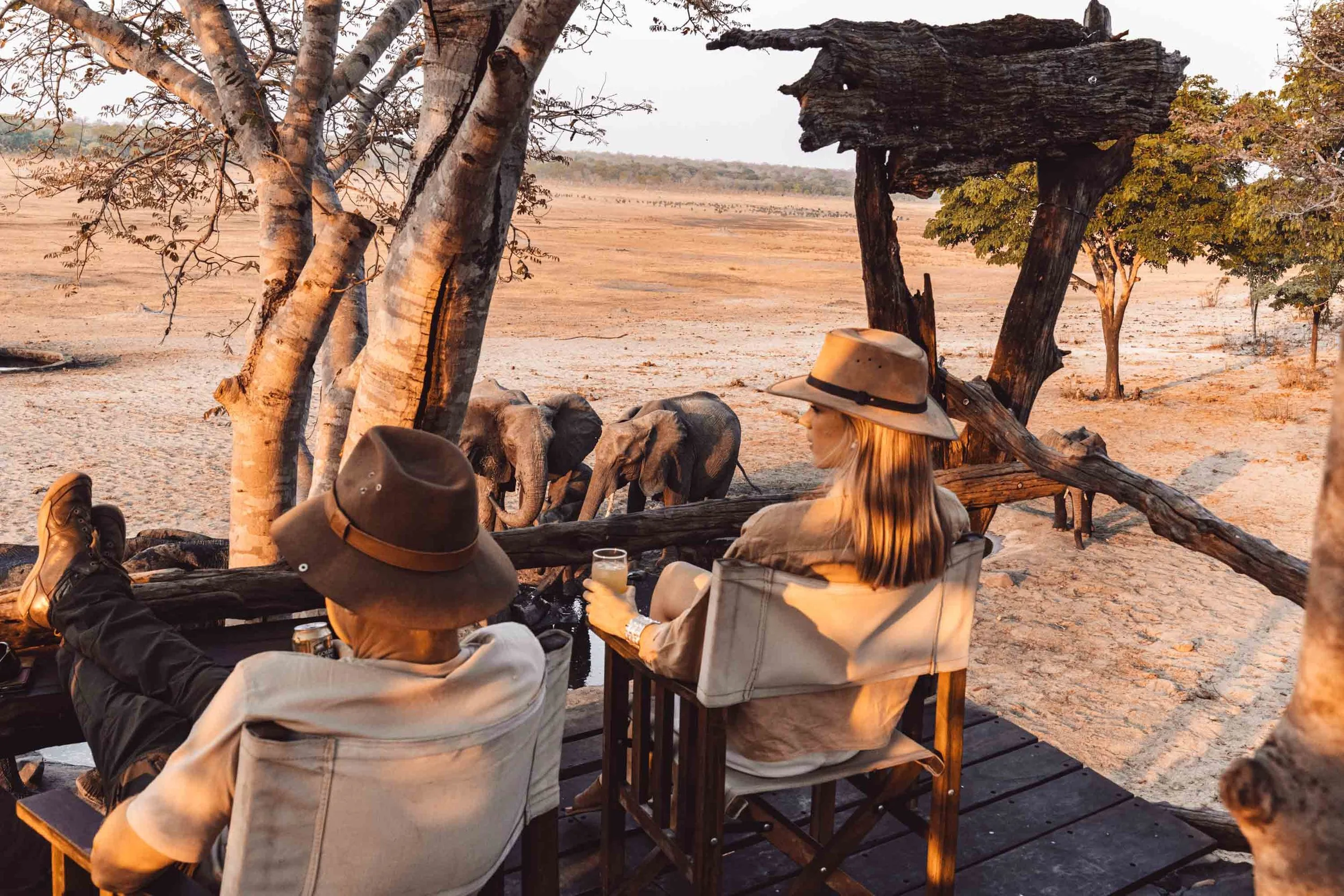 Anniversary Safari