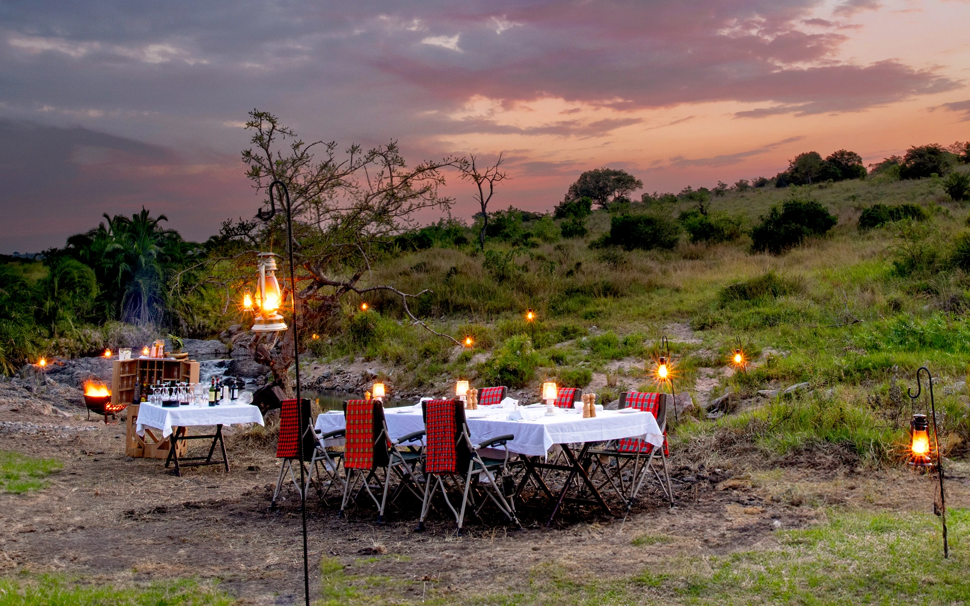 Bush Dinner Experience