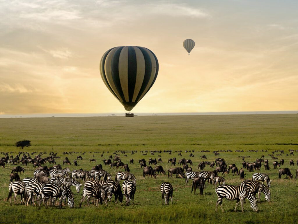 One Nature Nyaruswiga